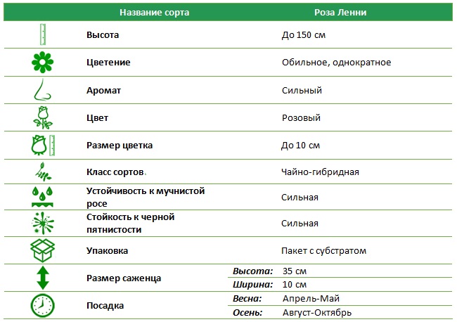 Ленни.jpg