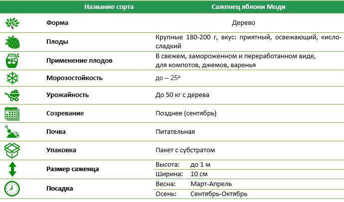 Яблоня Моди