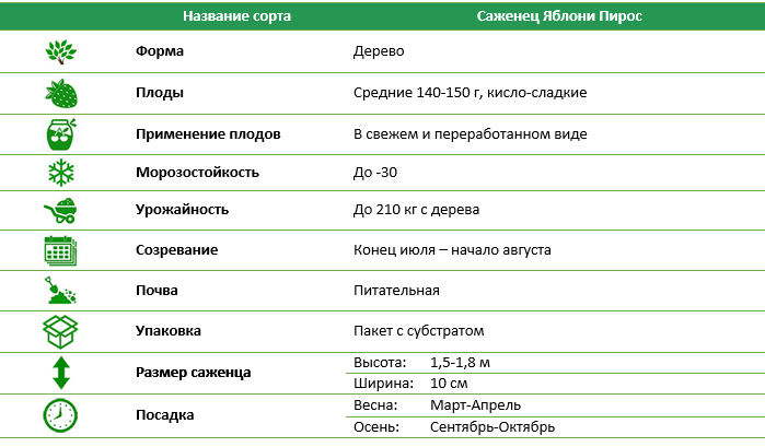 Яблоня Пирос