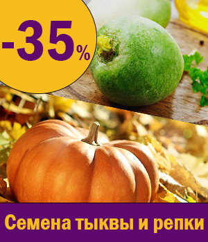 Семена овощей купить