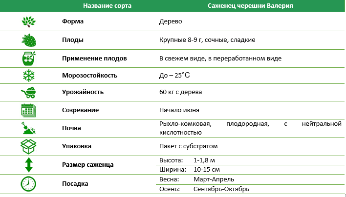 Черешня Валерия