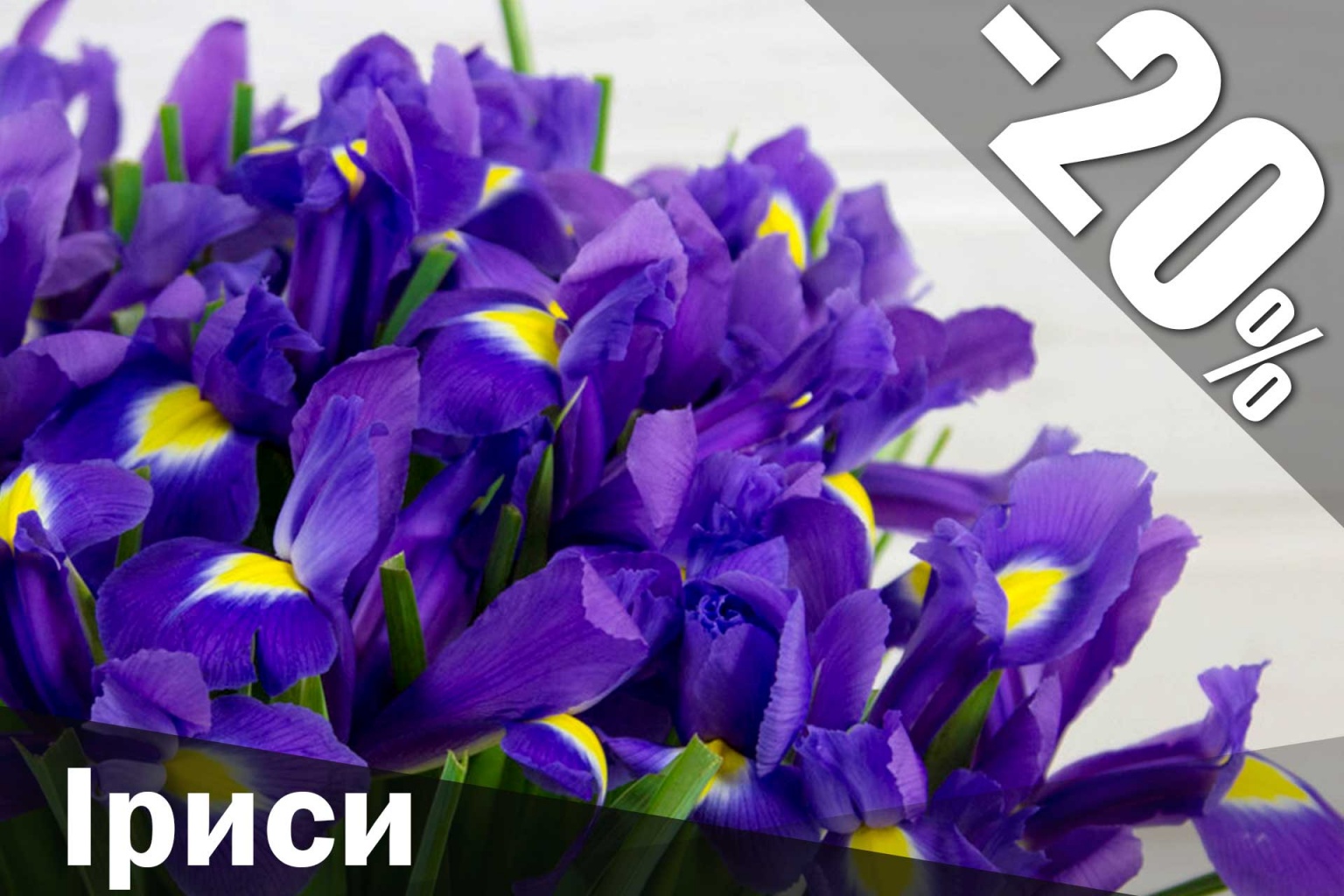 flowerbed 6.jpg Іриси купити