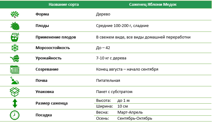 Яблуня колоновидна Медок