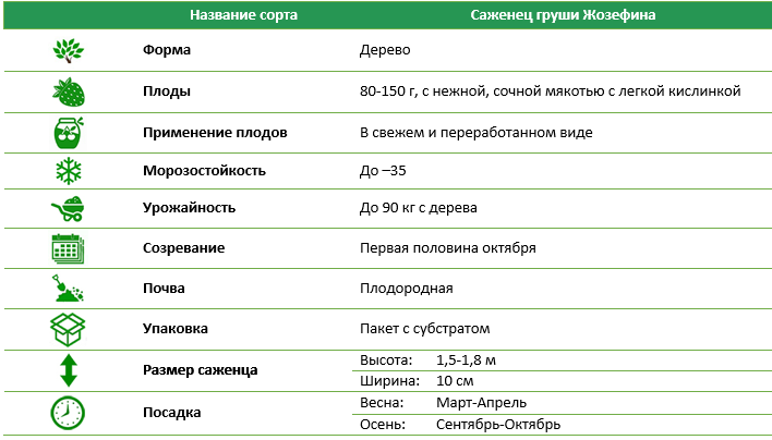 Груша Жозефина