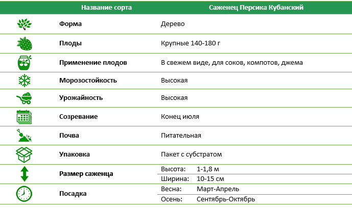 Персик Кубанский