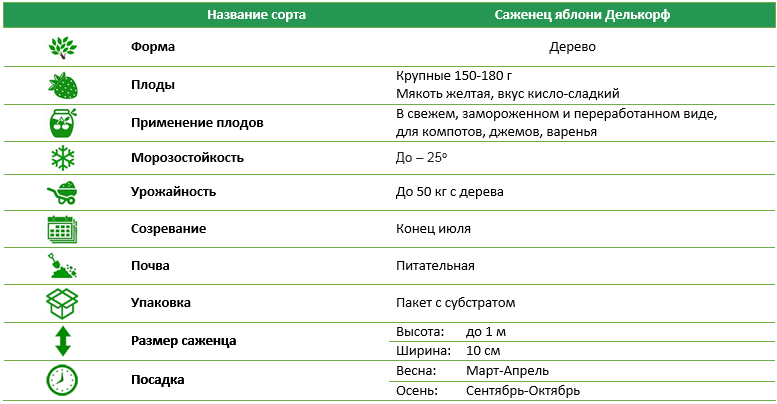 Яблоня Делькорф