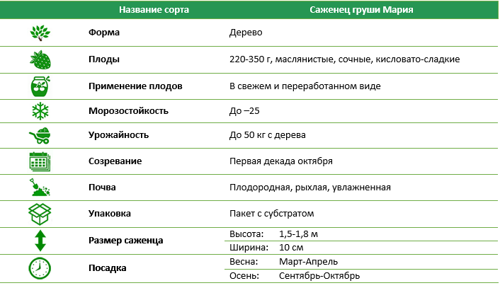 Груша Мария