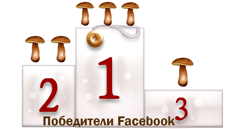 Мицелий грибов