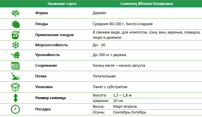 Яблуня Папировка
