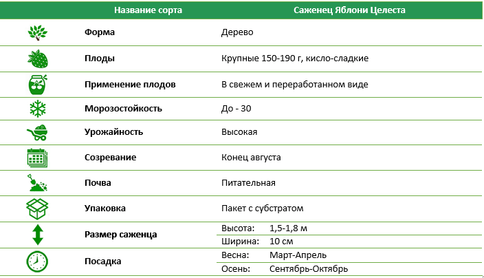 Яблуня Целеста