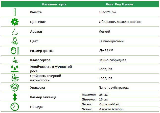 Роза чайно-гибридная Ред Наоми (Red Naomi)