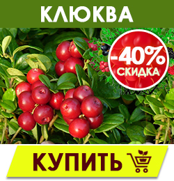 Финальная распродажа саженцев плодовых кустарников!