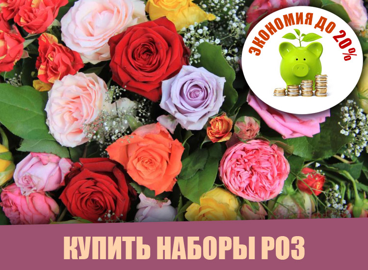 Вместе – дешевле!