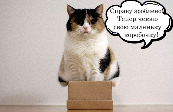 Кіт в коробці