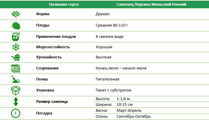 Персик Июньский ранний