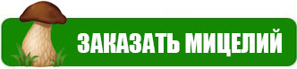 Міцелій грибів уже в наявності!