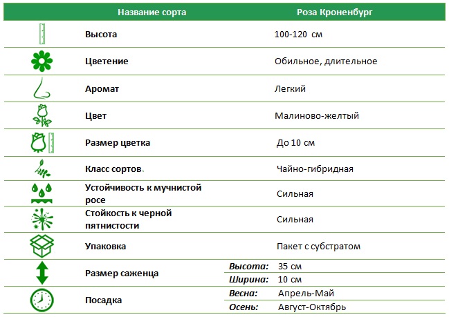 Кроненбург.jpg