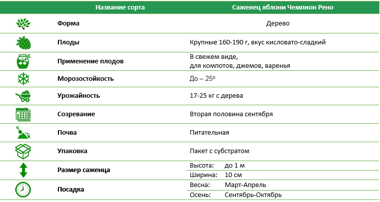 Яблоня Чемпион Рено