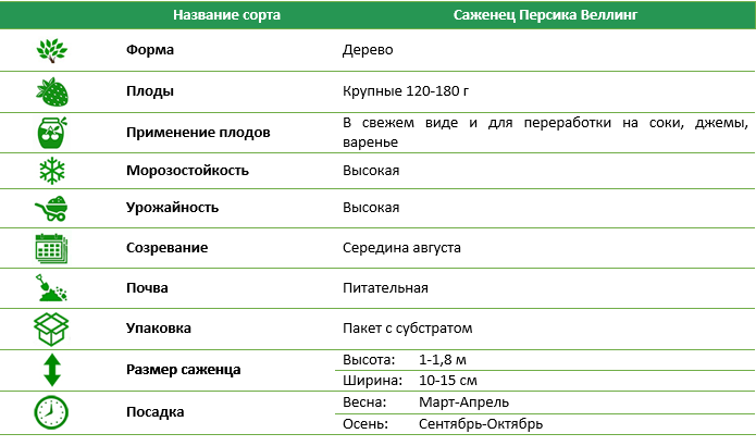 Персик Веллинг