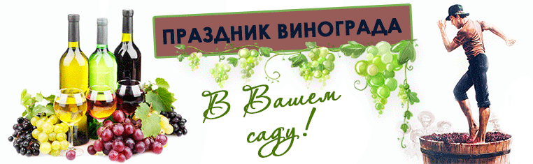 Новий асортимент винограду! — Саженцы урожайных сортов можно заказать уже сейчас!