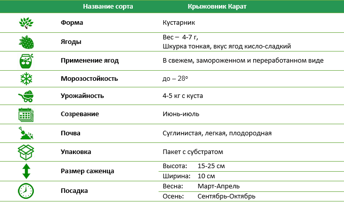 Крыжовник Карат раннеспелый красный