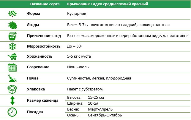 Крыжовник Садко среднеранний красный