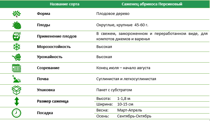 Абрикос Персиковый