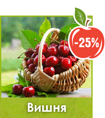 Саженцы вишни скидка