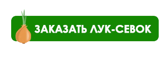 Більше цибулі - більше знижок!