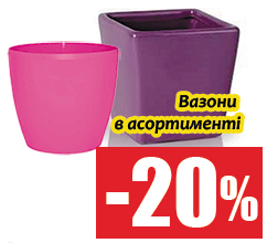 Хит-цена 20.02.2018 - 04.03.2018