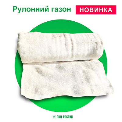 Рулонний газон