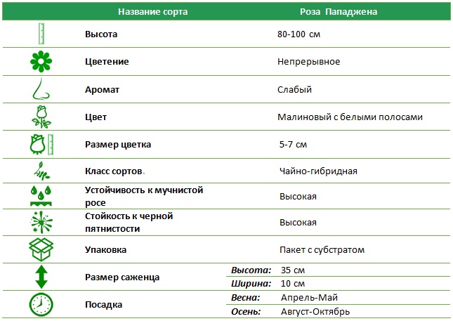 Пападжена.jpg