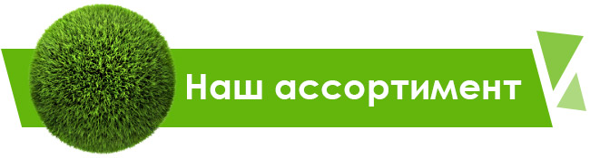 Купить газон цена недорого