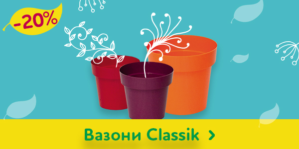 Вазони інтернет магазин