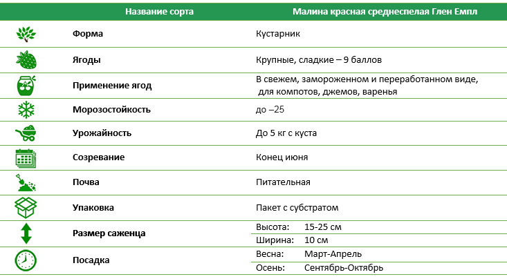 Малина красная среднеспелая Глен Эмпл-3 шт