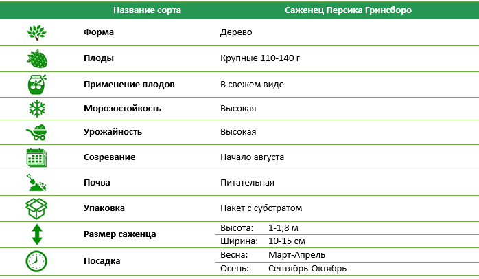 Персик Гринсборо