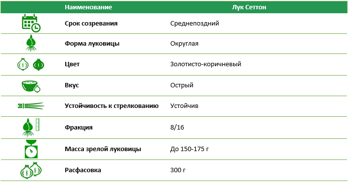 Лук-севок Сеттон 300 г