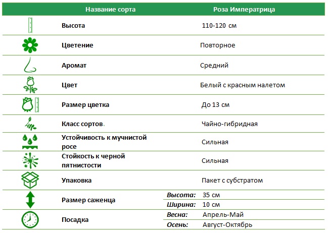 Императрица.jpg