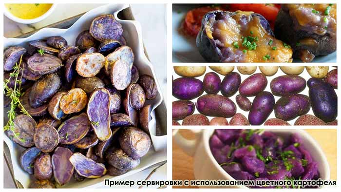 Семенной картофель Солоха 0,5 кг Элита