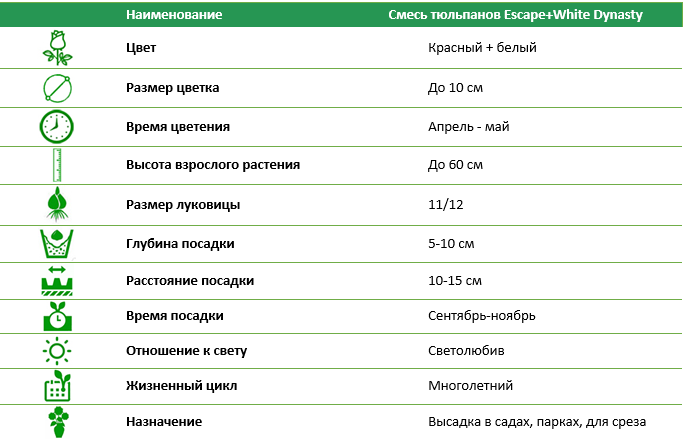 Смесь тюльпанов Seadow+Whait Dynasty (3 шт)