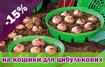 Знижки до -20% до свята Успіння!