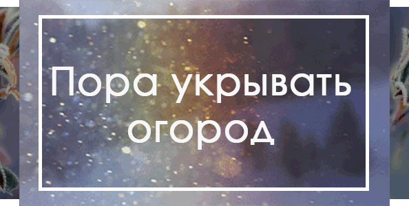 Агроволокно интернет магазин