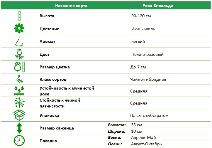 Вивальди.jpg