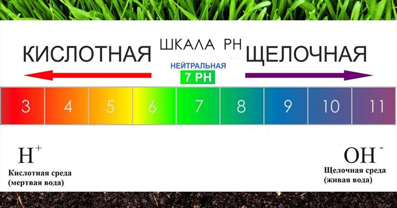 Кислотність