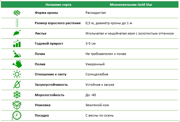 Можжевельник Gold Star C3