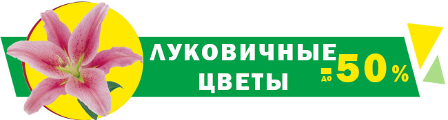 Скидки до -50%! Весенняя распродажа сезонных товаров!
