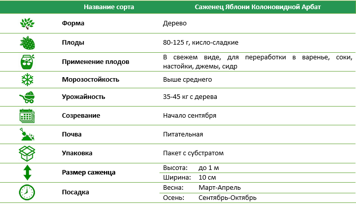 Яблоня колоновидная Граф Эззо