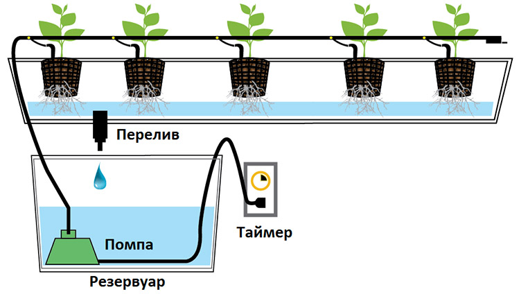 Система капельного полива купить