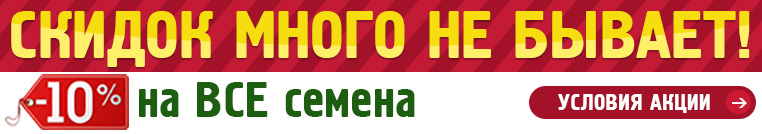 Посев семян на рассаду. Инструкция с фото