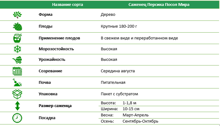 Персик Посол Мира
